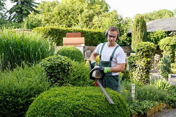 Mulching Services in Mcadoo, PA